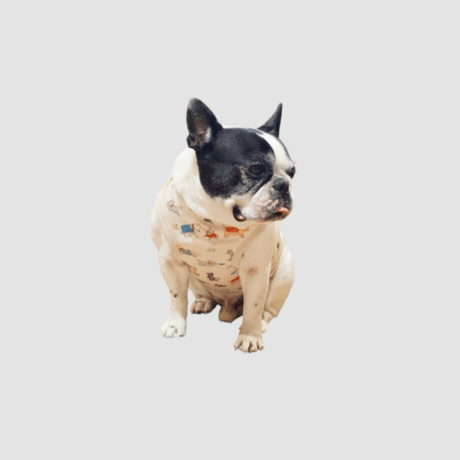 ┊ひえひえcoolタンク┊DOGクリーム・・フレブル服TiTiTi