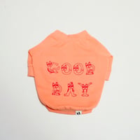 GOOD DAYスウェットTシャツ/サーモンピンク・・・・・・フレブル服TiTiTi
