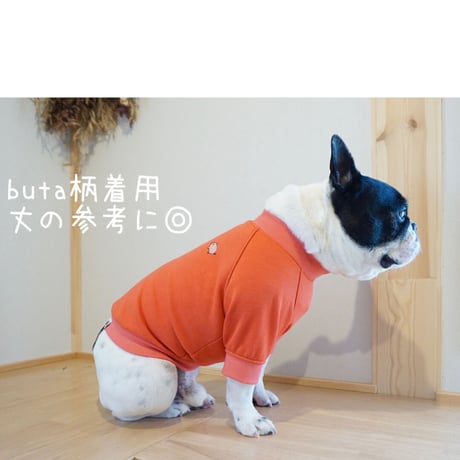 ┊niku┊Ｔシャツ//スカーレット・・・フレブル服TiTiTi