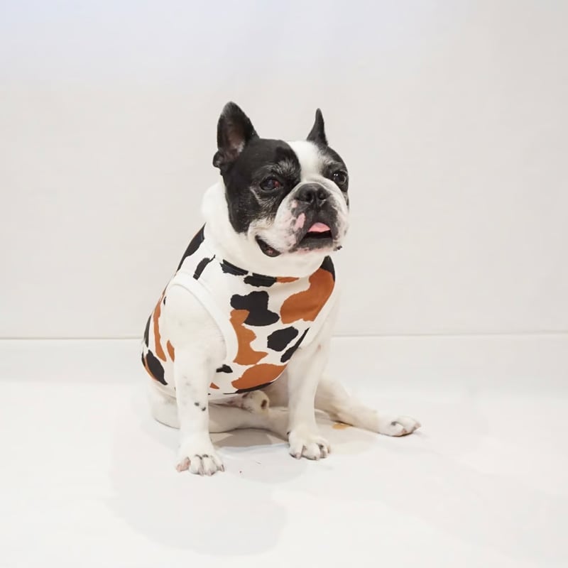 ┊ひえひえcoolタンク┊三毛猫・・・・フレブル服TiTiTi | フレンチ