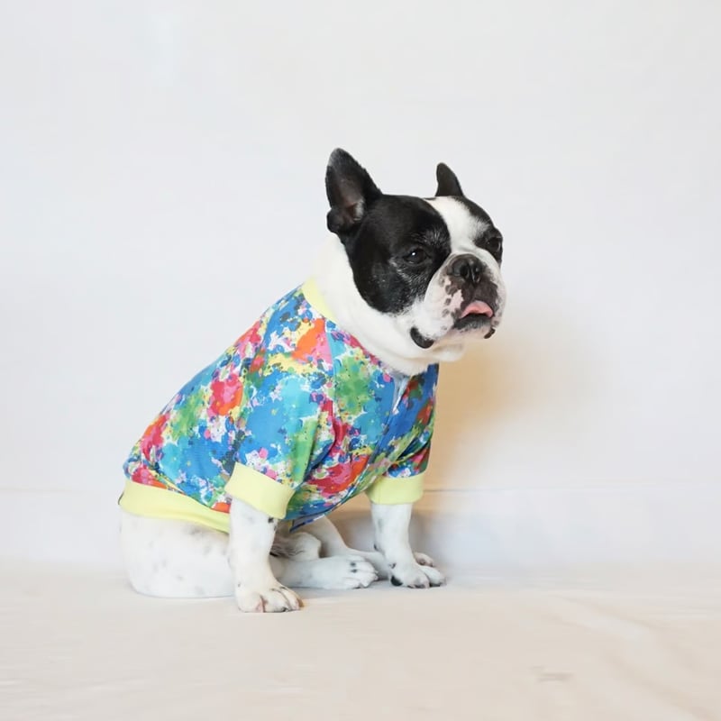 ┊ひえひえcoolブルゾン┊(A)イエロー・フレブル服TiTiTi | フレンチ