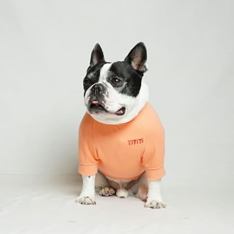 GOOD DAYスウェットTシャツ/サーモンピンク・・・・・・フレブル服TiTiTi
