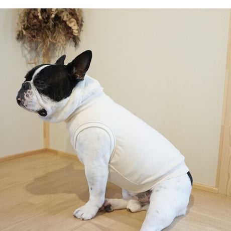 ┊buta┊オーガニックコットンパイルタンク//キナリ・・・フレブル服TiTiTi