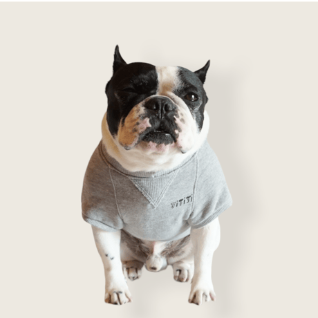 butaさんスウェットTシャツ//グレー・・フレブル服TiTiTi