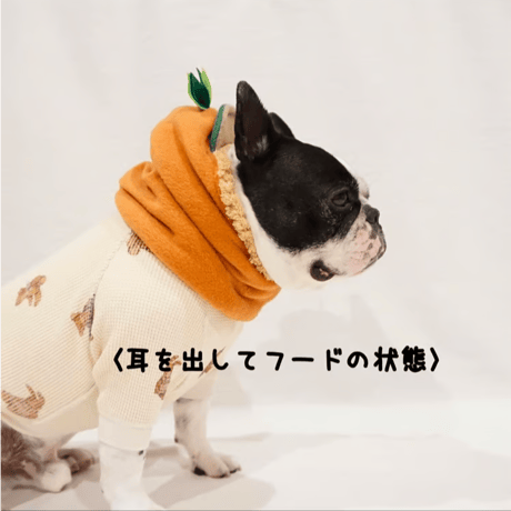 ブヒの実フーディーウォーマー(フリース✖️ボア)ブルーグリーン・フレブル服TiTiTi