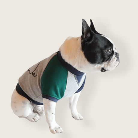 butaさんスウェットTシャツ//グリーンネイビー・フレブル服TiTiTi