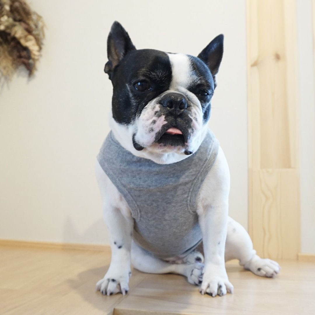 tyakomaruシャルレあったか中綿ベストМ〜L撥水加工パールグレー