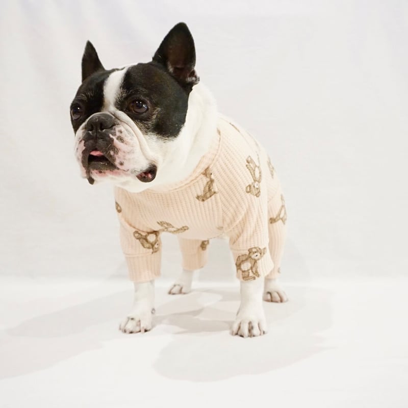 袖にクマさんのロンT フレブル服パグ服犬服ハンドメイド