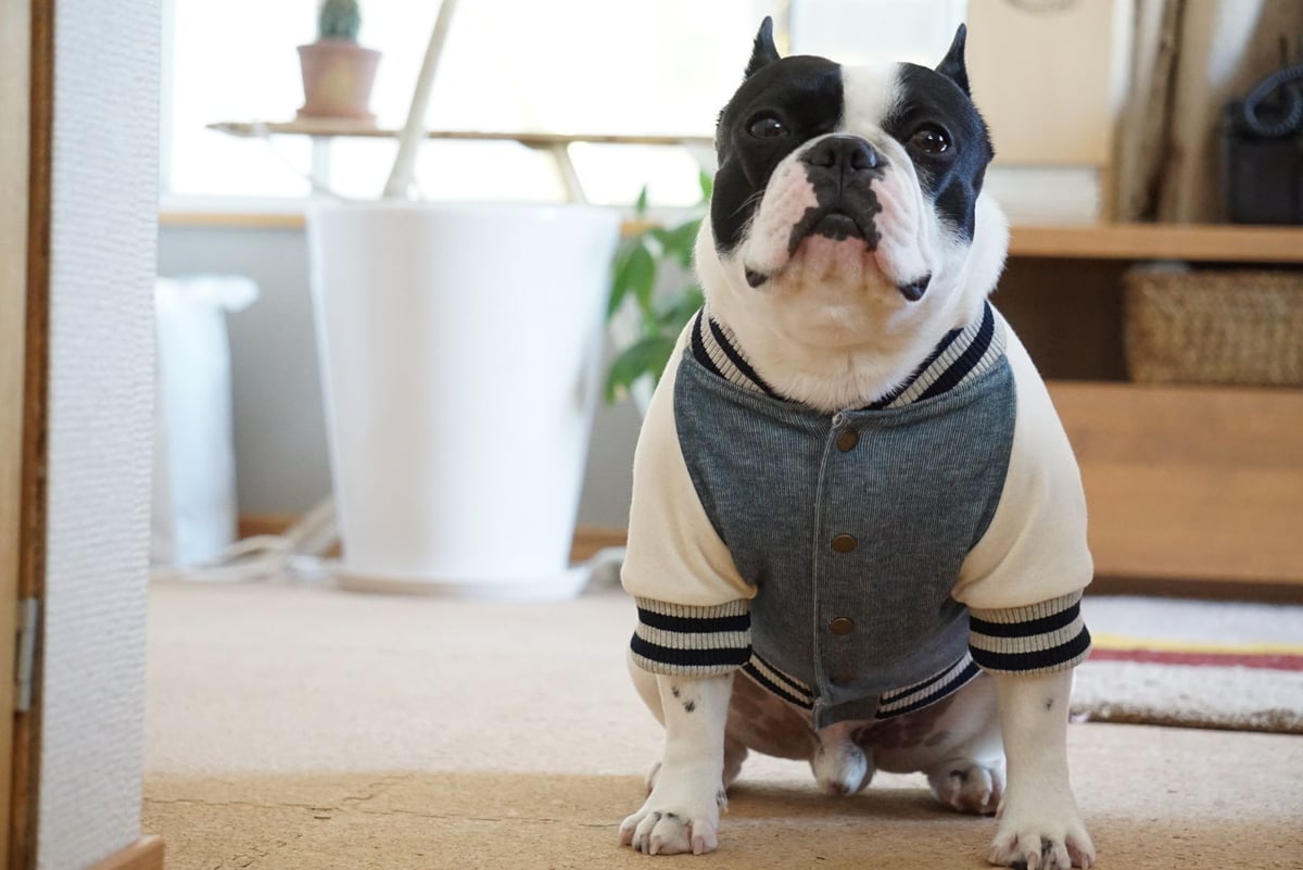 fit=scale-down,w=1200