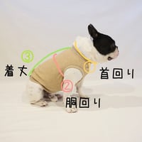 ＜ご利用ガイド＞サイズ等（ご購入前に必ずご一読ください）