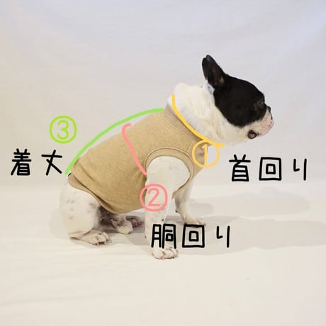 ＜ご利用ガイド＞サイズ等（ご購入前に必ずご一読ください）