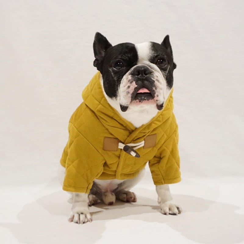 フレブル☆洋服セット☆TiTiTi /and Chariie/snowpeak等 ミリタリー