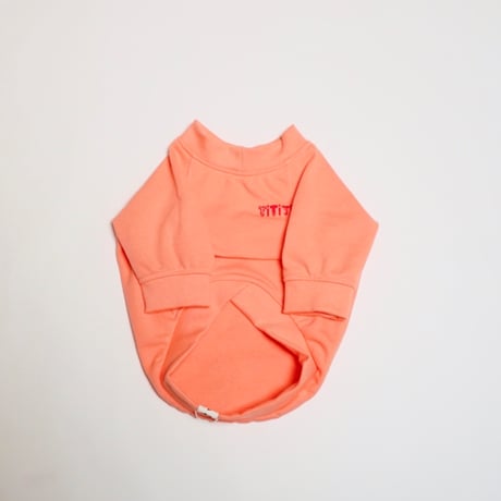 GOOD DAYスウェットTシャツ/サーモンピンク・・・・・・フレブル服TiTiTi
