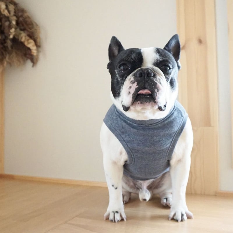 Fサイズ【クニオコレクション】ブルドック ストレッチチュニック ロンT 長袖 犬 楽天市場】犬 服 秋 冬 伸びて 着せやすい シンプル 長袖