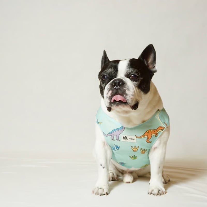 tititi犬服　クールベスト　クールネック ┊クールネック┊洋梨┊オレンジ・・・フレブル服TiTiTi