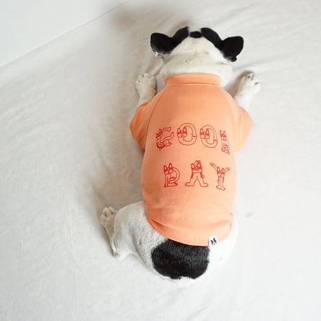 GOOD DAYスウェットTシャツ/サーモンピンク・・・・・・フレブル服TiTiTi