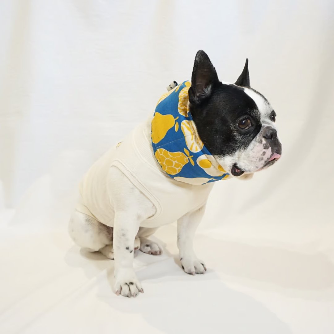 tititi犬服　クールベスト　クールネック tititi犬服 クールベスト クールネック