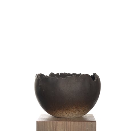 CATEGORY 中根 楽 | QSPLANT