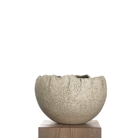 CATEGORY 中根 楽 | QSPLANT