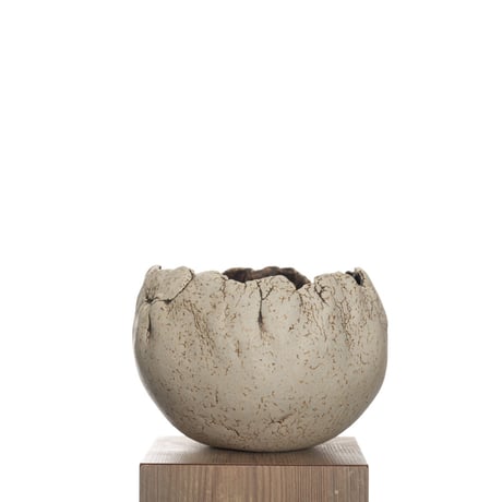 CATEGORY 中根 楽 | QSPLANT