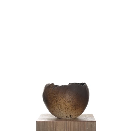 CATEGORY 中根 楽 | QSPLANT