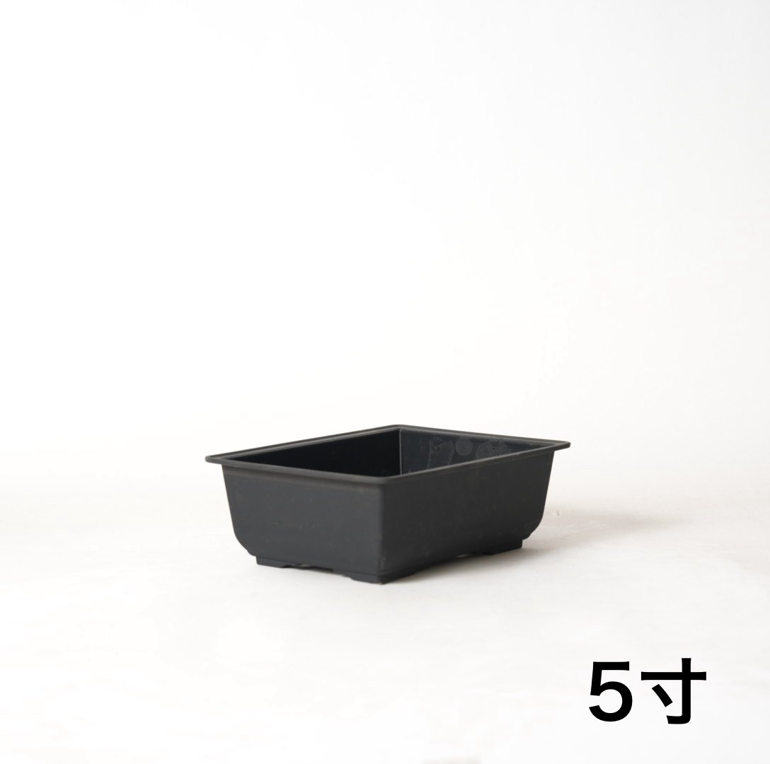 鉢　盆栽鉢 和モダン五葉松 中サイズ 漆黒浅丸 受け皿付きの盆栽を販売