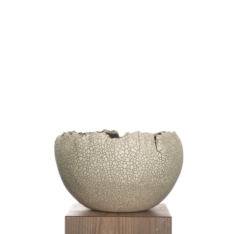 CATEGORY 中根 楽 | QSPLANT