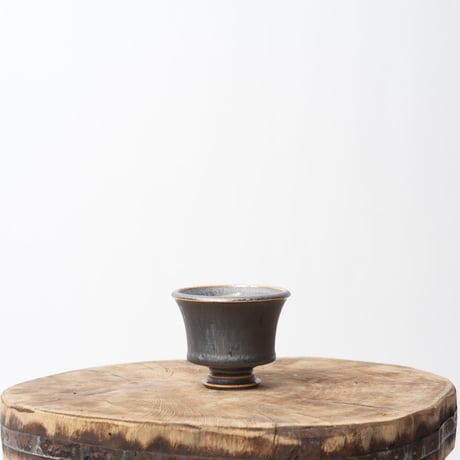 CATEGORY 中川智治 | QSPLANT