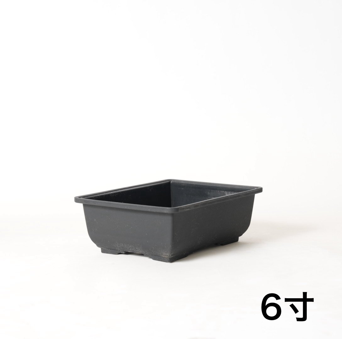 角盆栽鉢 烏泥長角鉢 盆栽鉢 22号 鉢幅67cm×奥行き52cm×高さ22cmを販売