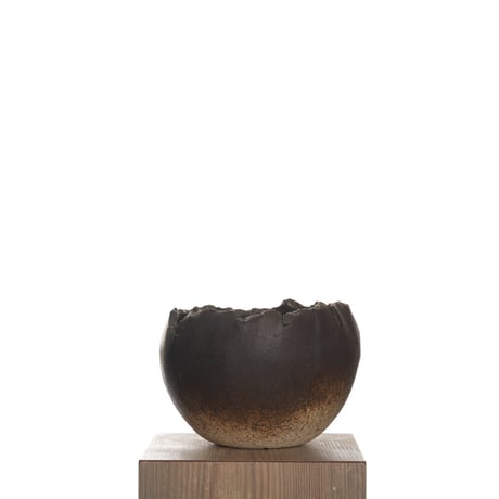 CATEGORY 中根 楽 | QSPLANT