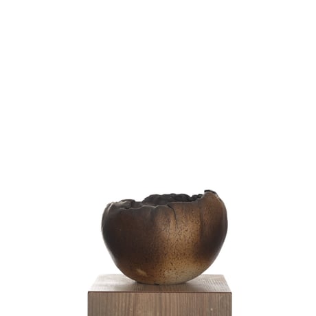 CATEGORY 中根 楽 | QSPLANT