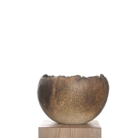 CATEGORY 中根 楽 | QSPLANT