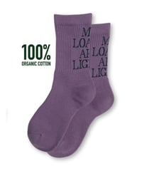 Text "M,L,A,L" : Purple　入荷予定：6月