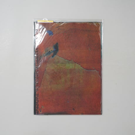 「Printed／Matter」 Print House Session 2019 / 横田大輔(Daisuke Yokota)