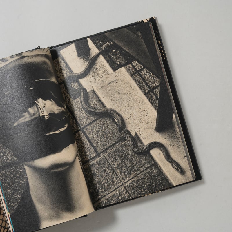 サイン入/Signed] Moriyama Daido's Tokyo: ongoing /