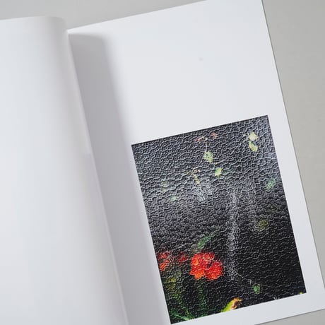 print house session / 奥山由之(Yoshiyuki Okuyama)