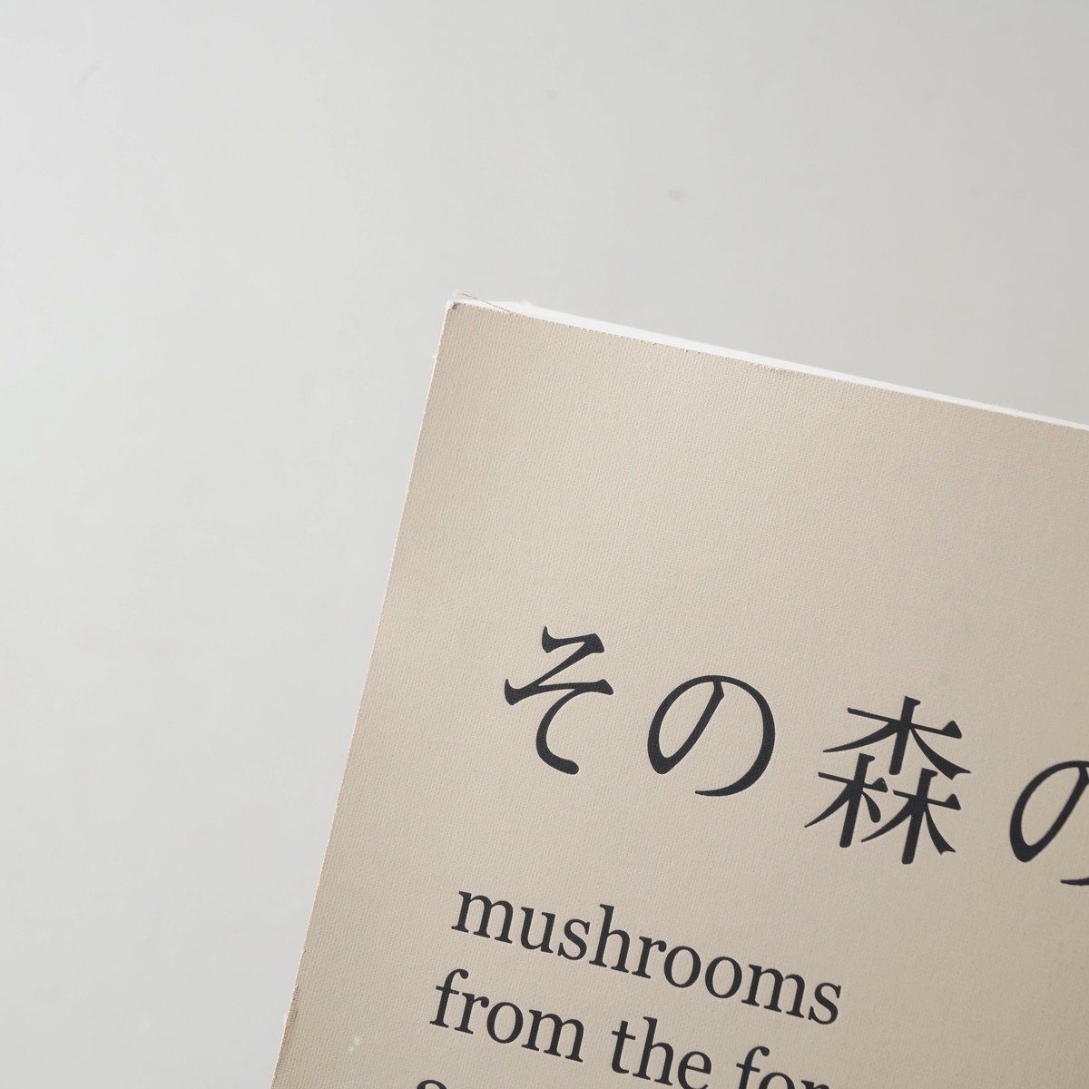 サイン入/Signed] その森の子供 / ホンマタカシ(Takashi Homma) |