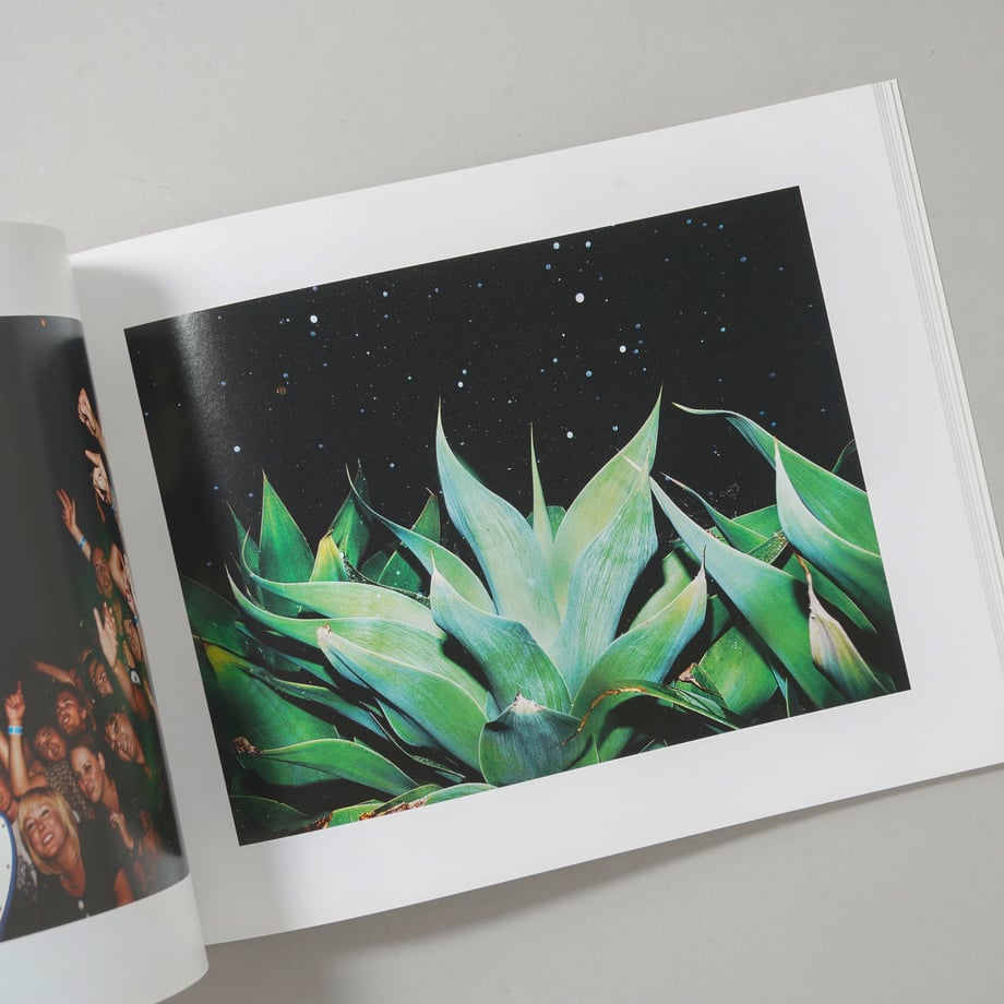 5c3882c8144448203b593d39