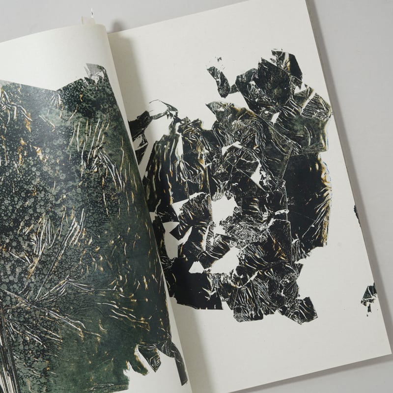 Max Pinckers & Daisuke Yokota　直筆サイン　横田大輔 サイン入/Signed] Film / 横田大輔(Daisuke Yokota) | boo