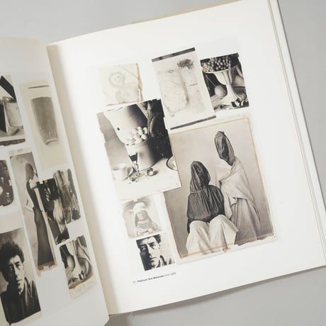 Platinum Prints / Irving Penn(アーヴィング・ペン)