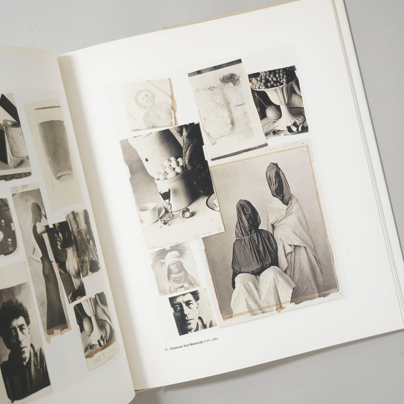 Platinum Prints / Irving Penn(アーヴィング・ペン) | book