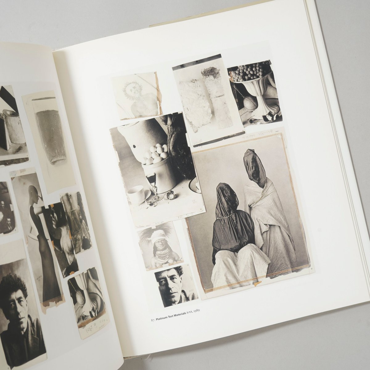 Platinum Prints / Irving Penn(アーヴィング・ペン) | book