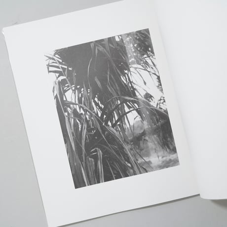 [新刊/New] GALAPA Program No.8 火曜日 / 富澤大輔(Taisuke Tomizawa)
