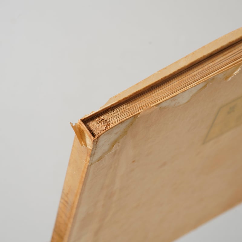 BEAUTIFUL WEST LAKE 西湖風景 / 福原信三(Shinzo Fukuhara