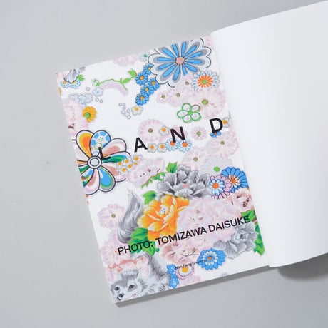[新刊/New]LAND / 富澤大輔(Daisuke Tomizawa)