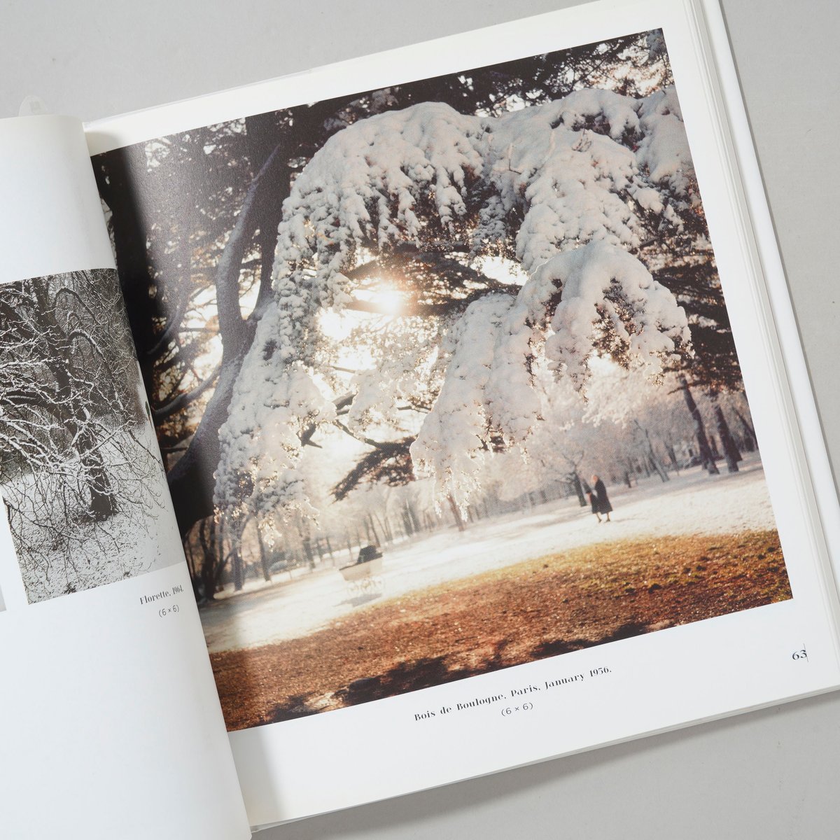 Lartigue: Life in Color 写真集 (洋書) LARTIGUE LIFE IN COLOR / Jacques Henri LARTIGUE