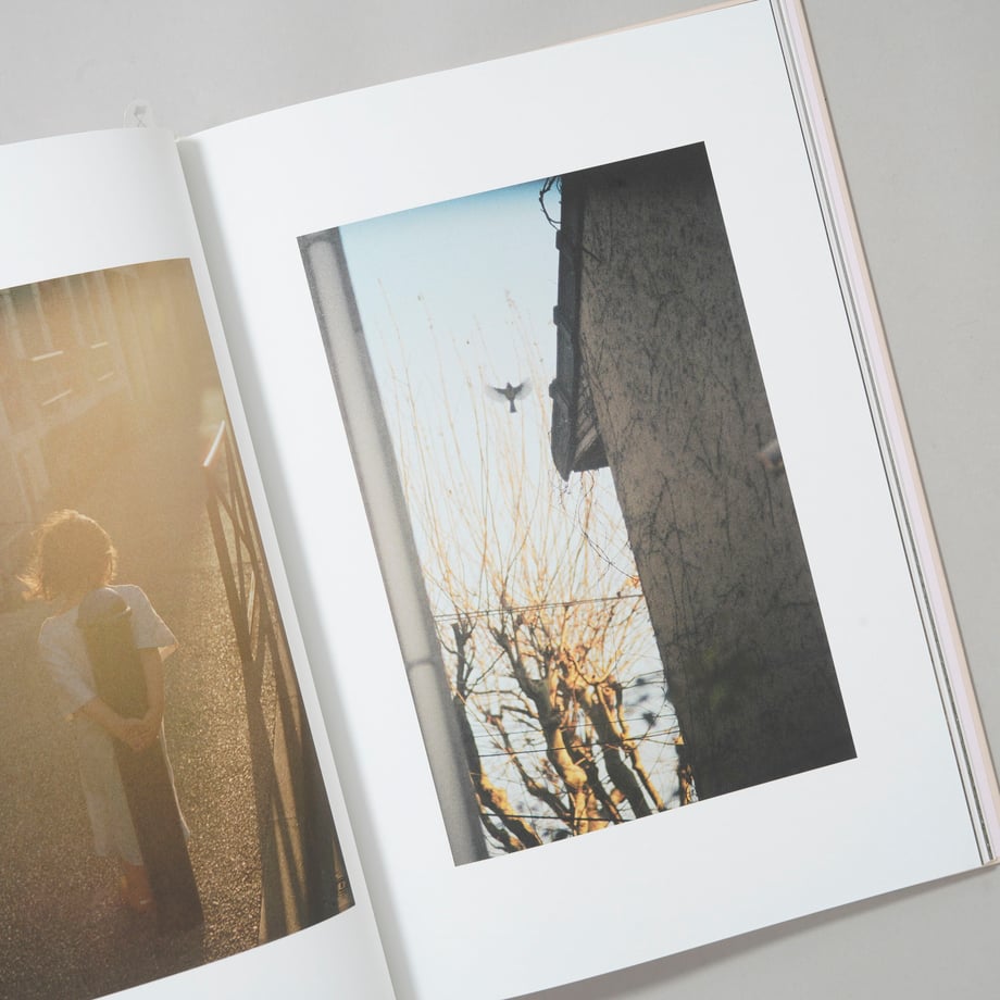 699be77d1bcd7429bf801928
