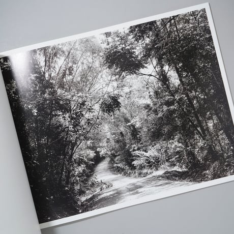 NEW PICTURES FROM PARADISE / Thomas Struth(トーマス・シュトゥルート)
