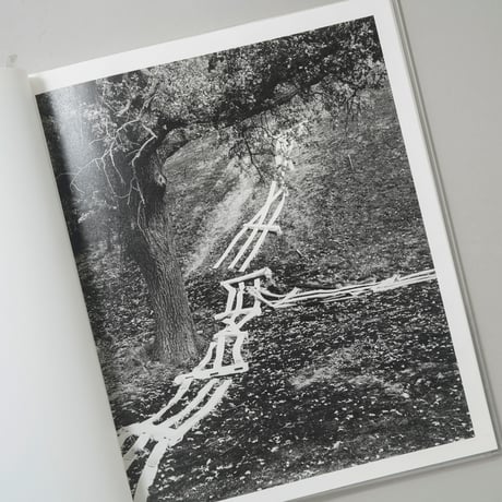 [新刊/New] The Weight Of Ash / Ian Bates(イアン・ベイツ)