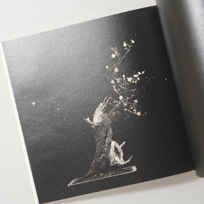 サイン入/Signed] 手中一滴 Bonsai Microcosmos Macrocosm